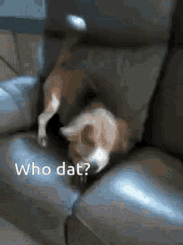 An den Beitrag angehängtes Bild: https://i.postimg.cc/85y6rSCt/oie-9851448d-CO2-EO.gif