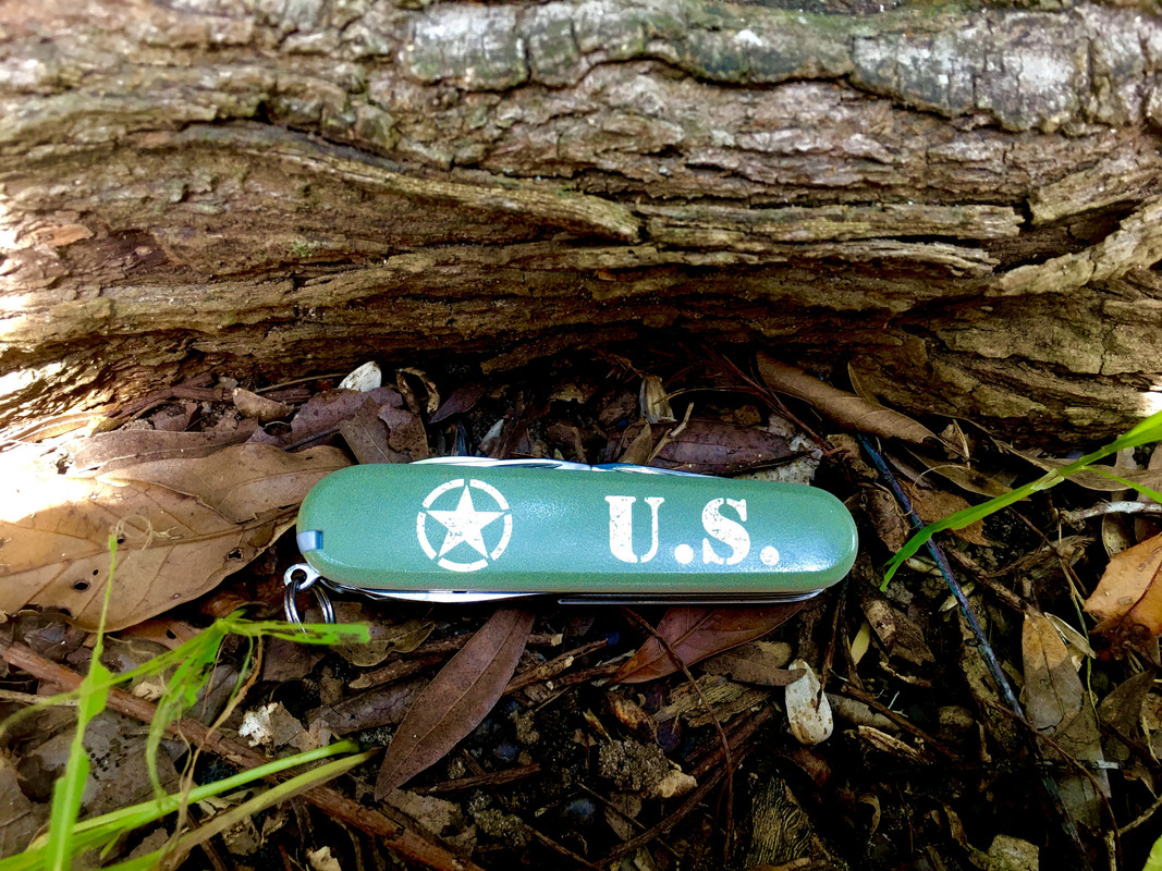 A8B119D4-6078-4A91-AA5D-A490280D0C52