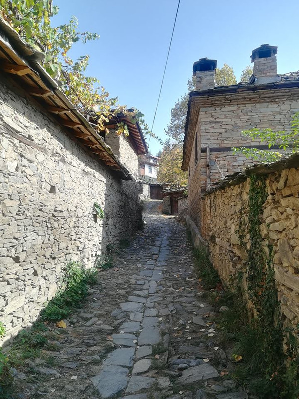 лещ 9