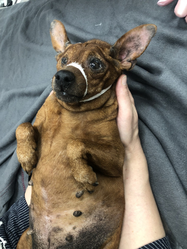 2FF53534-F7AD-45B0-8821-02872084ABAC