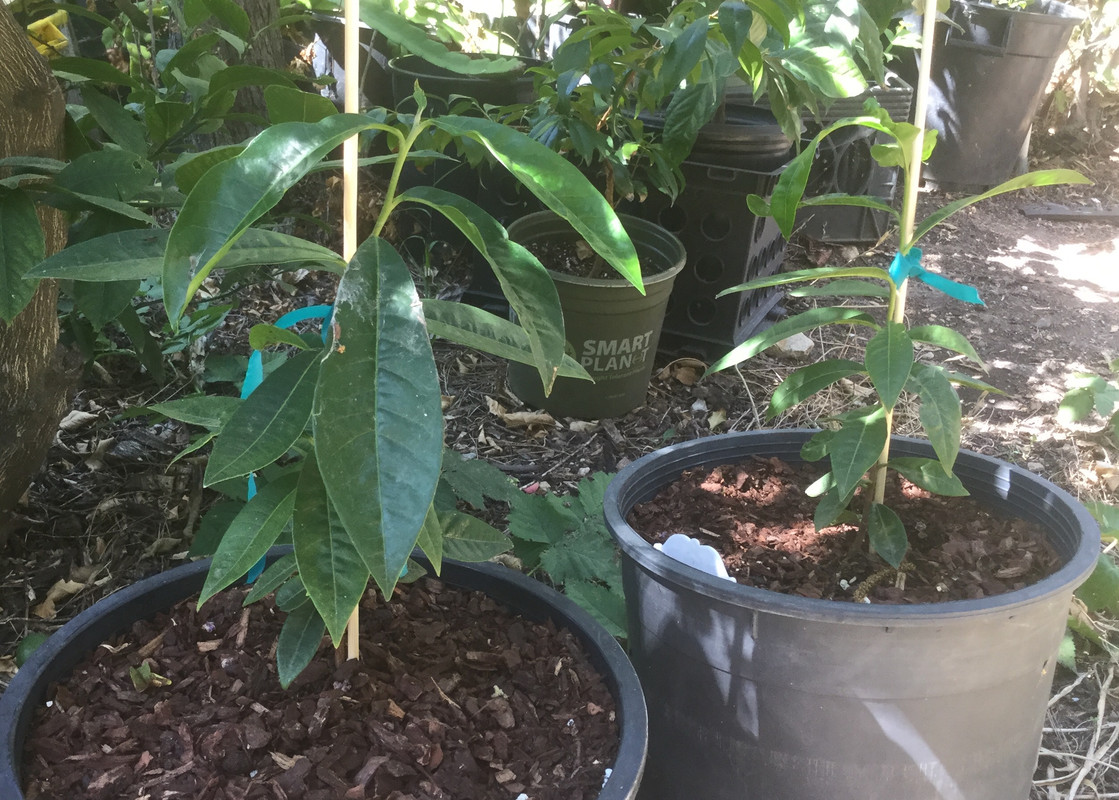 797AD01B-58C7-4B95-8EE8-4FB0BB1A30E2