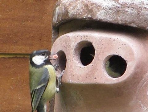 587B8DF3-B7D8-4294-94FF-4354BFBEA8DF