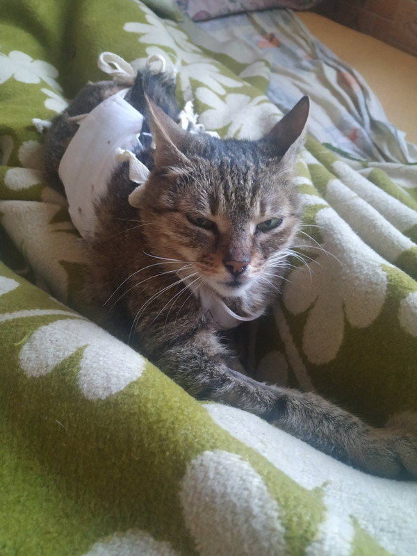 2DA5FD32-9F7C-4616-A255-A5D0290AB0EB