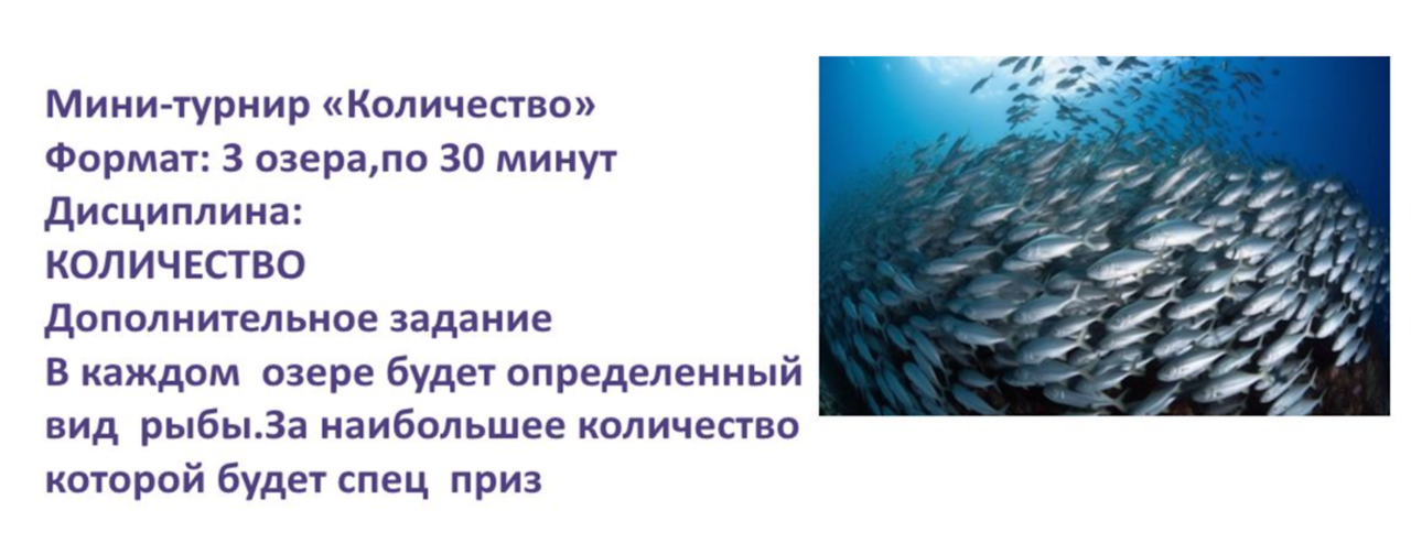 Скриншот 05 12 2025 141412