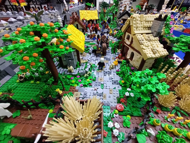 338352048-1323108248419953-3734973666327