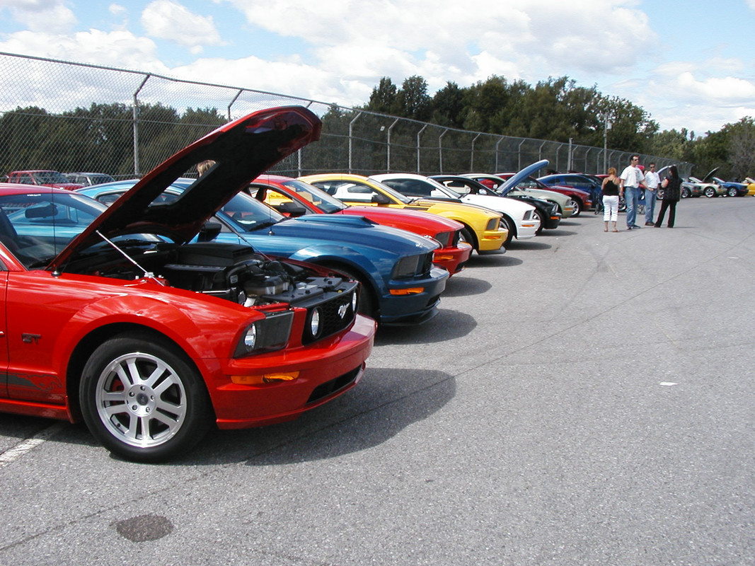 photo - Montréal Mustang: 40 ans et + d’activités! (Photos-Vidéos,etc...) - Page 20 P8120073