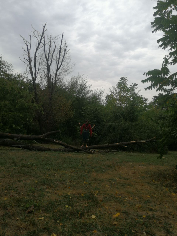photo_2024-08-30_21-43-54 (2)