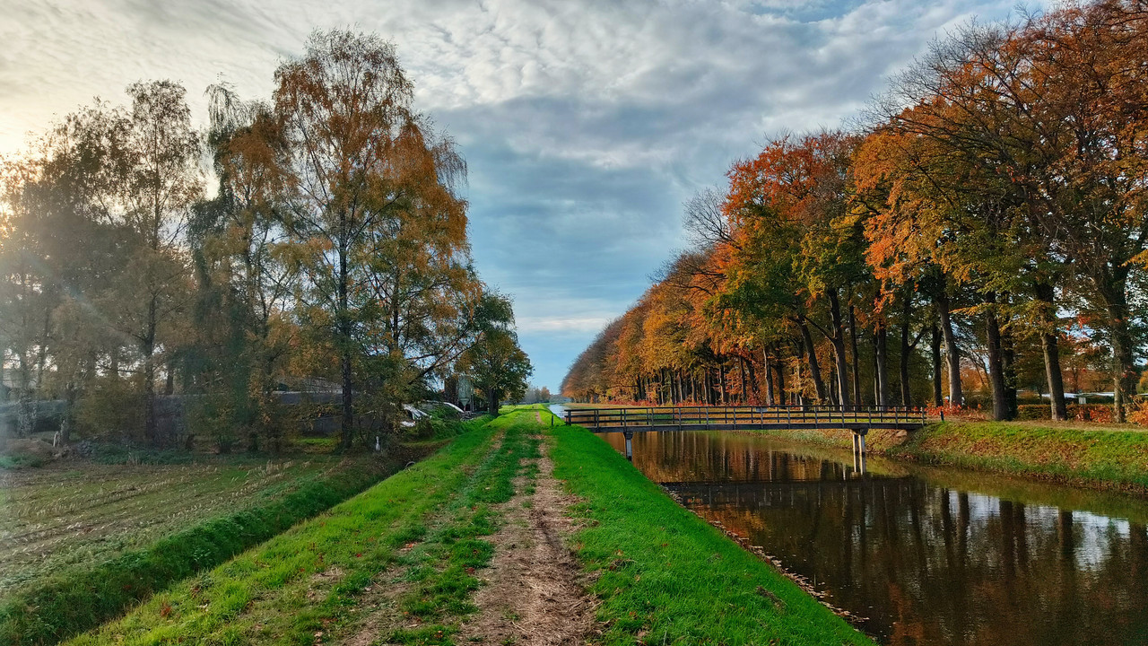 Lumii 20251104 152536910