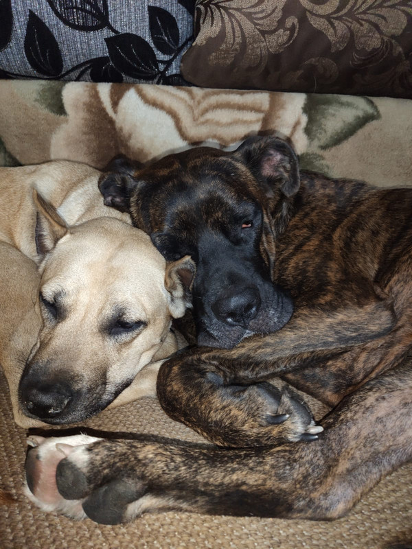 44F151E3-D93E-41D1-9665-7AFA1985BCC5