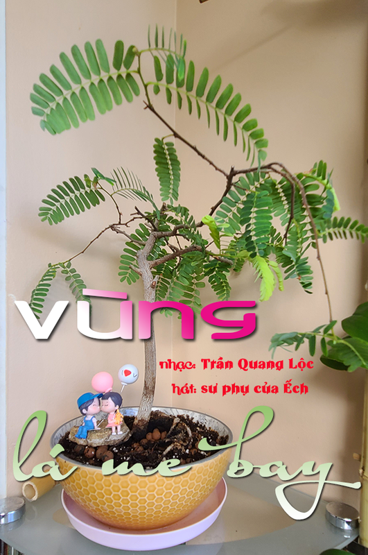 [Image: vlmb.png]