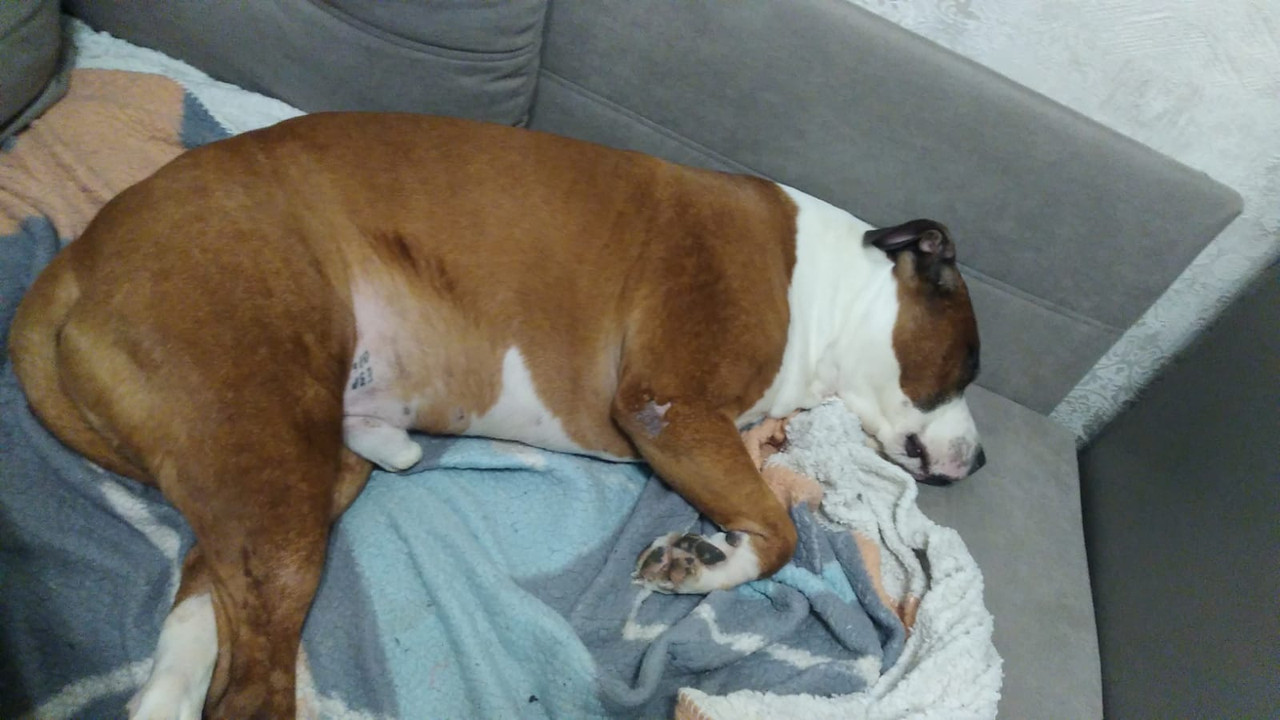 20094B2C-C2CE-434C-BA6F-96A04957046B