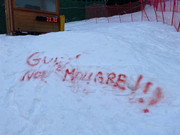 IMG-20240207-WA0030