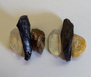 IMG_20190531_094618776~2