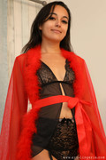 Summer-Fox-0009-1