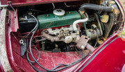 164518016-2935329623396813-10963465608227409-n.jpg