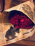 volghan hosseini (139)