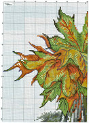 402791-8d7f7-98625851-u4fdf2