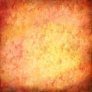 Tangerine-Winter-Kit-1