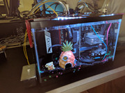 IMG_0016.JPG.edf091b9e6a6e9aee0069c811d98053a