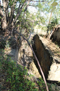 IMG-0276