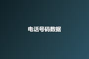 电话号码数据