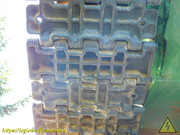 DSCN8695