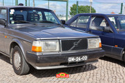 IMG-6533