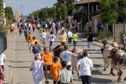 IMG-0503
