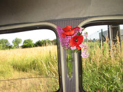 IMG-7617.jpg