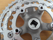 PXL_20240115_113659935 - Copy