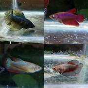 IMG_20190711_120546_849