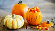 Pumpkins-0023