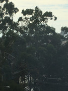 998EEE22-BEB7-419F-88F7-CF7ADB232CED