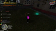 IMG-6410