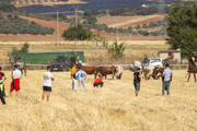 IMG-0447