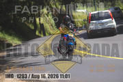 IMG-1293