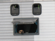 BulgariaTeknival 2016 (131)