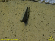DSCN5858