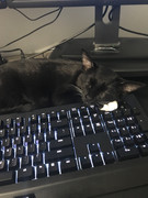 B13ABE2C-1EA6-45B5-9D90-5502B321A70E