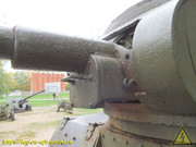 IMG-2925