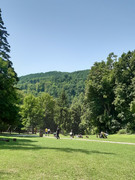 https://i.postimg.cc/87vNSB0B/20210713-121039.jpg