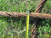 IMG-1779