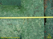 DSC03637