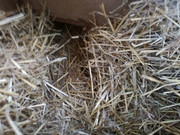 Průlez z chodbičky .