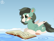 commandernessie_attack