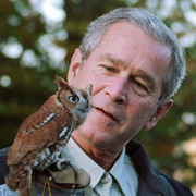 Dubya with owl