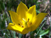 BIG_100_7081 (3000x2250)_1515435712234