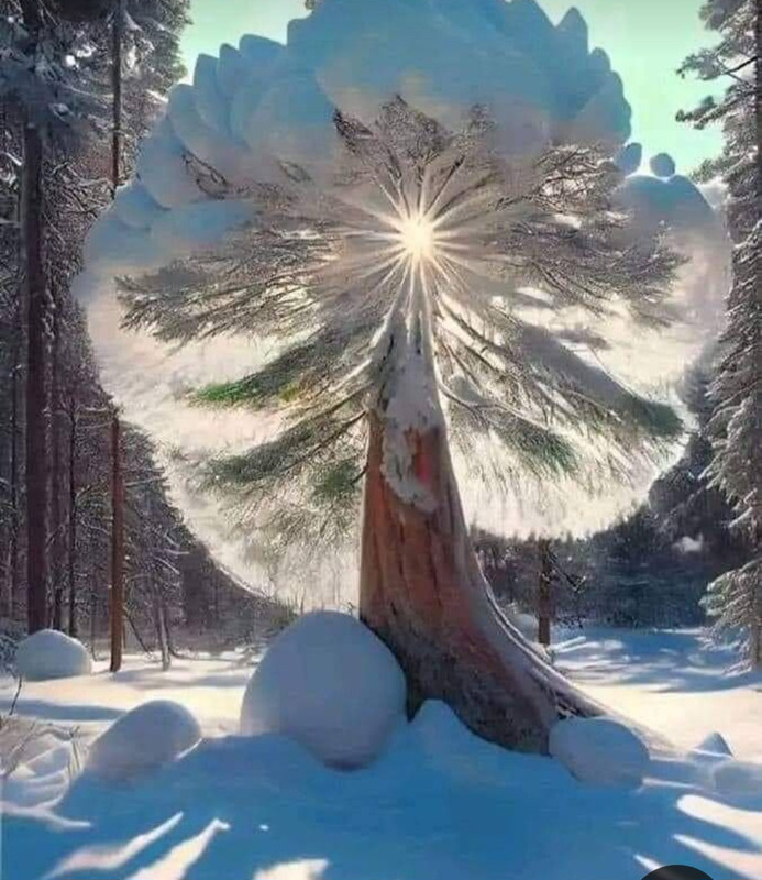 Screenshot_20230327_233045_Pinterest