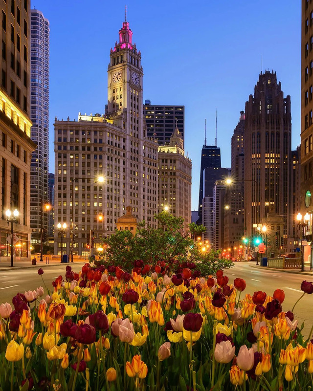 277172004-4703853433060339-6263378993465620567-n