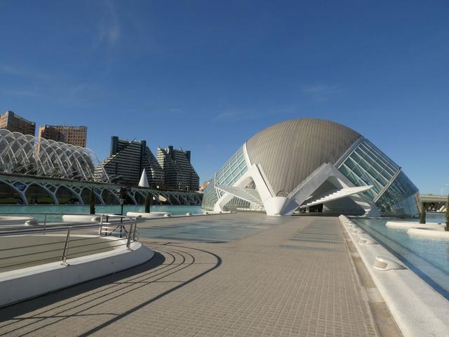 VALENCIA en un fin de semana - Blogs de España - Sábado 30/12: Llegada a Valencia y visita al Oceanogràfic (4)